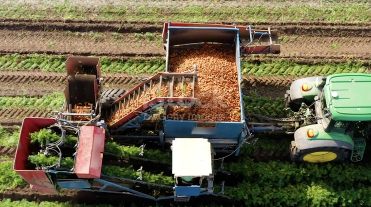 Marché agroalimentaire canadien : distribution, opportunités et stratégies d’entrée au Canada